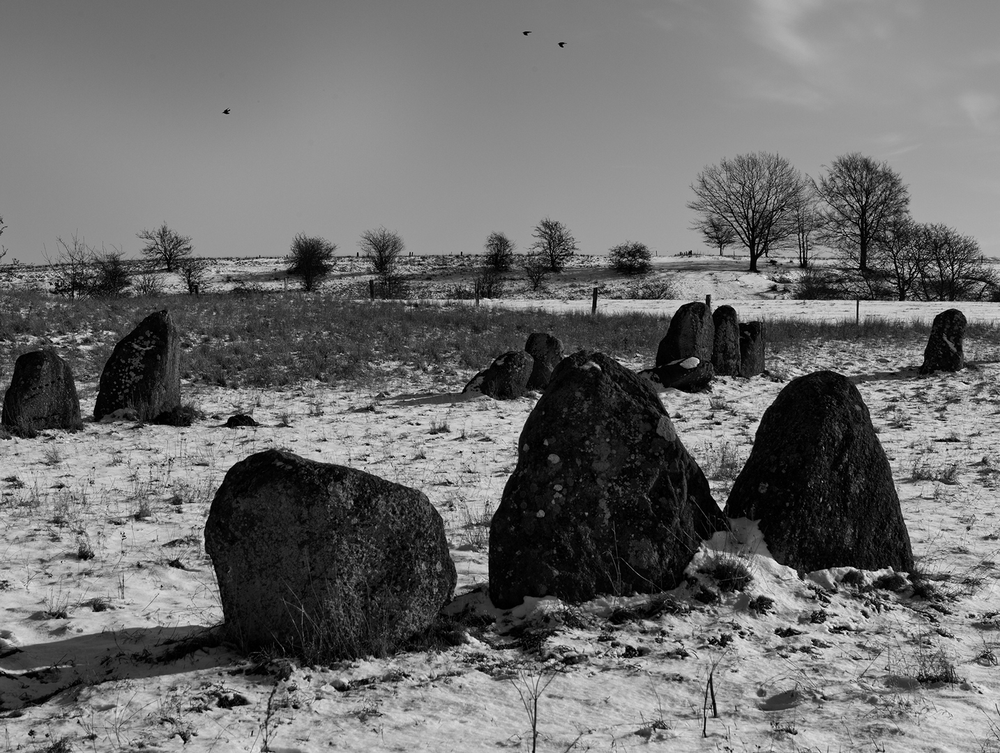 billed 34 - feb 17 - frit emne