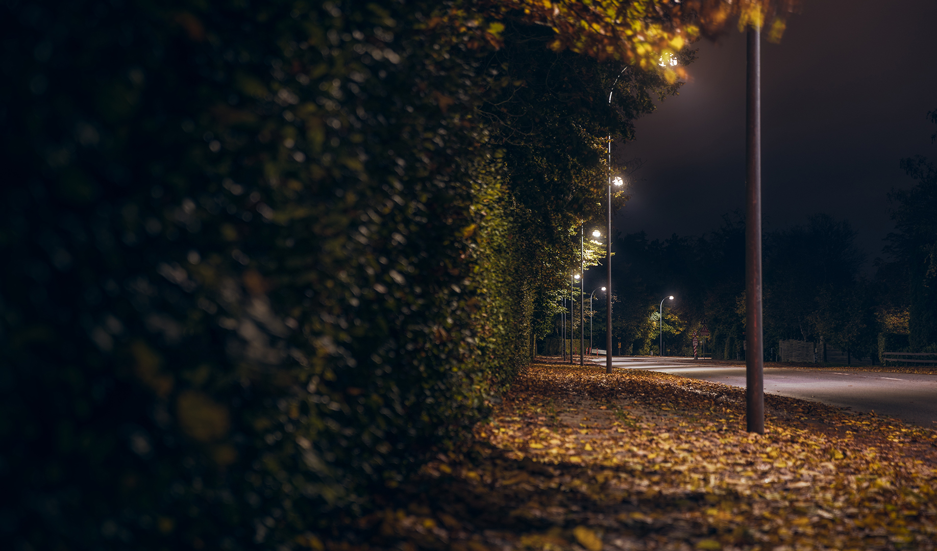 2017-oktober35