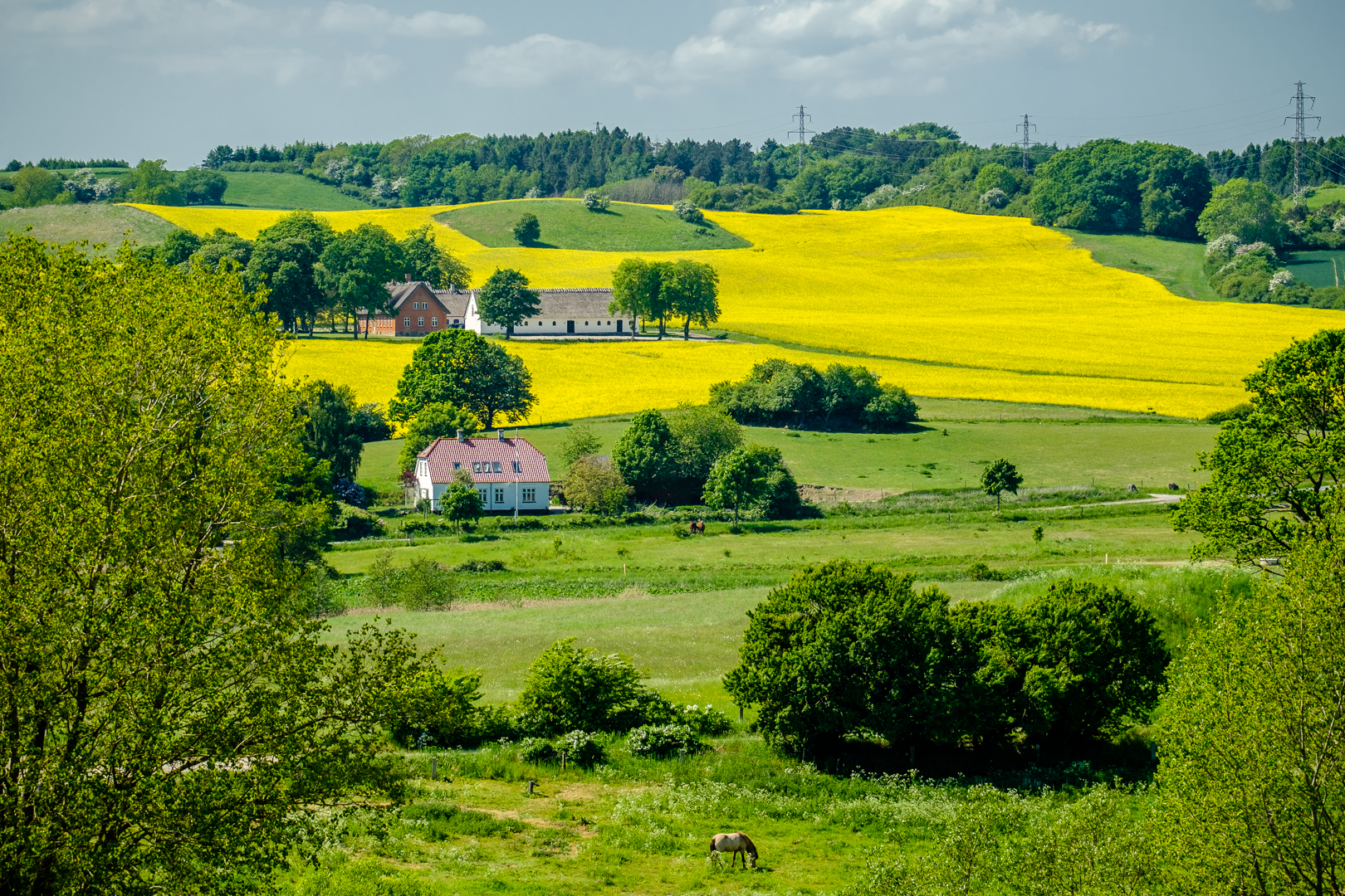 maj 2018-18