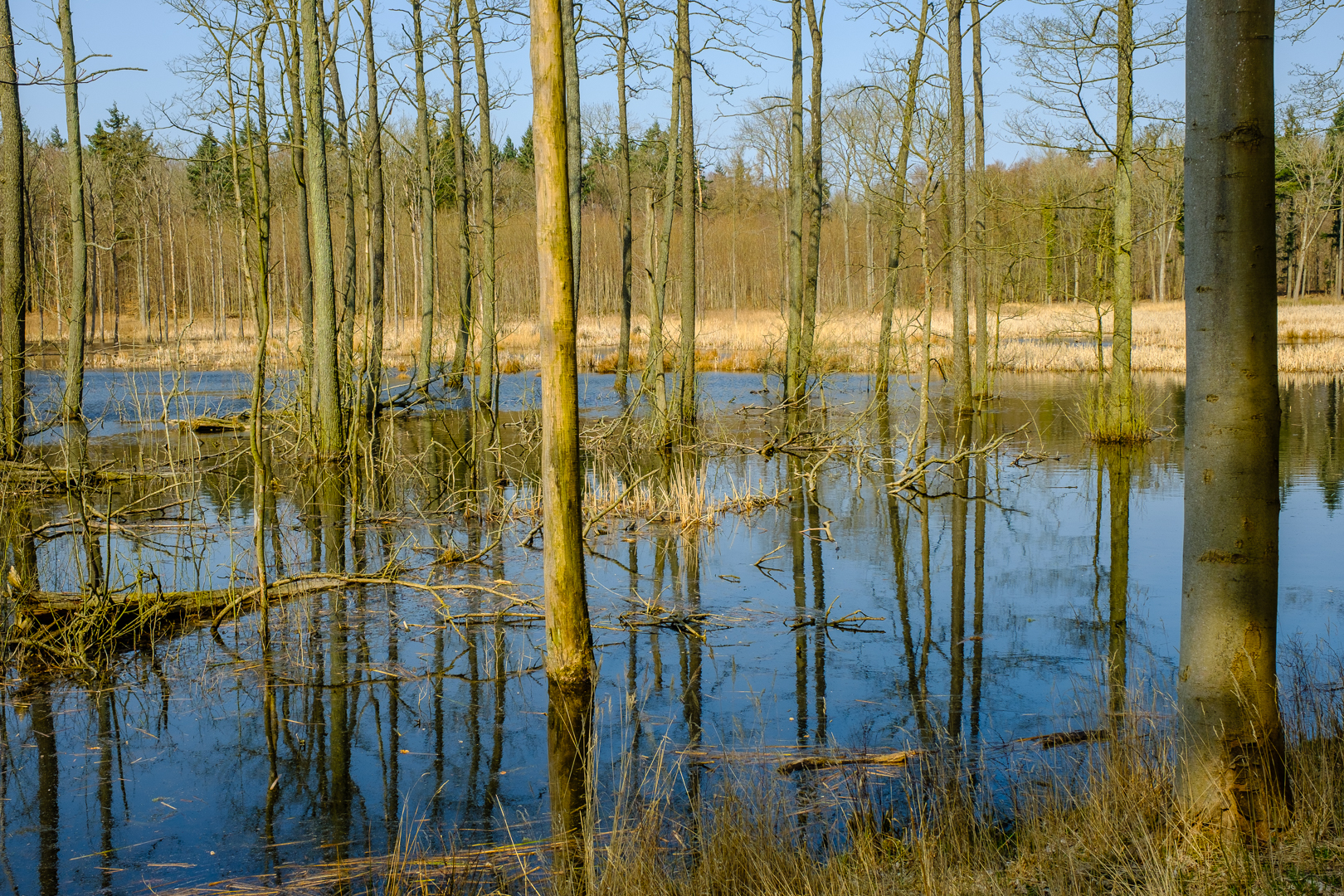 maj 2018-19