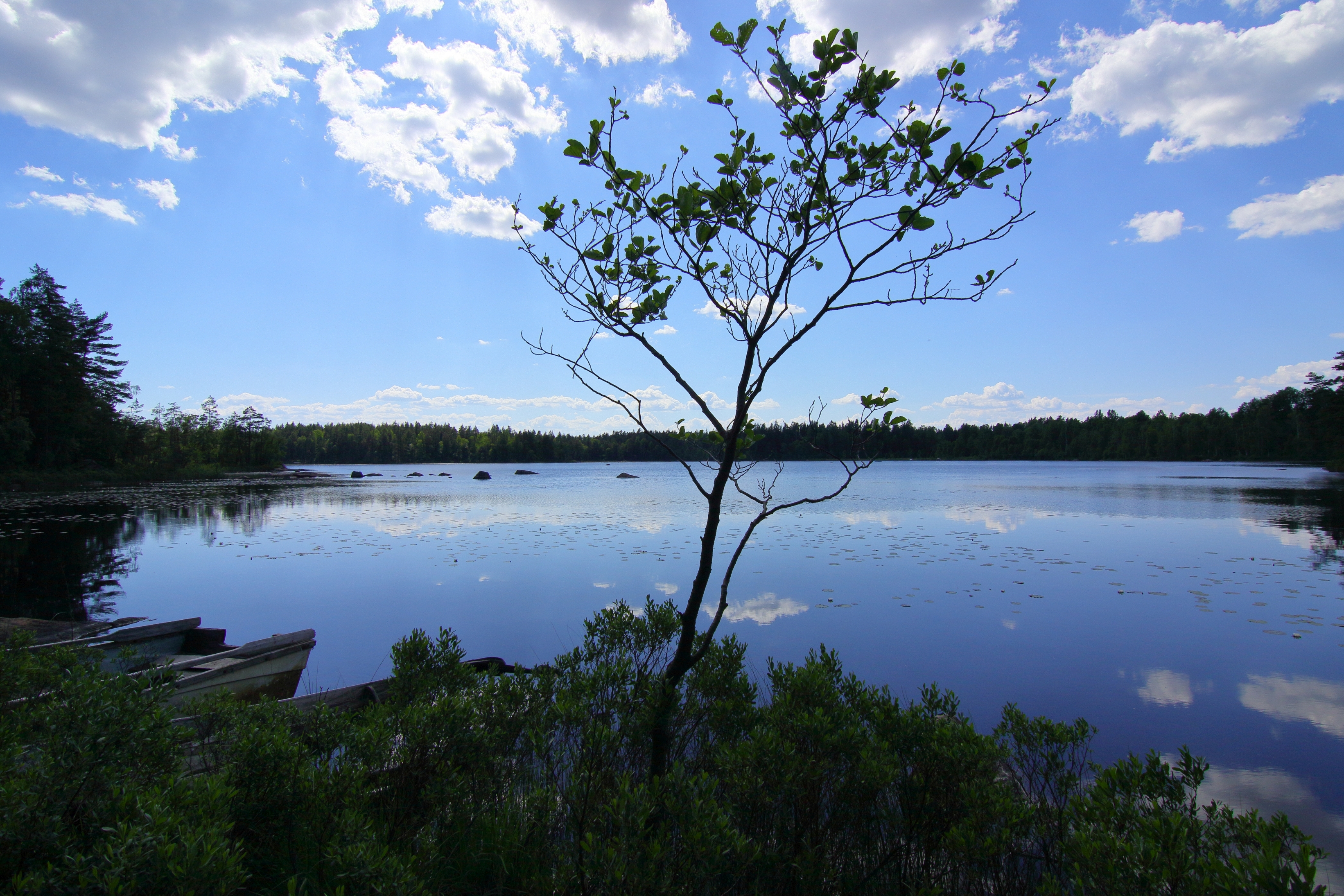 august_2018_11