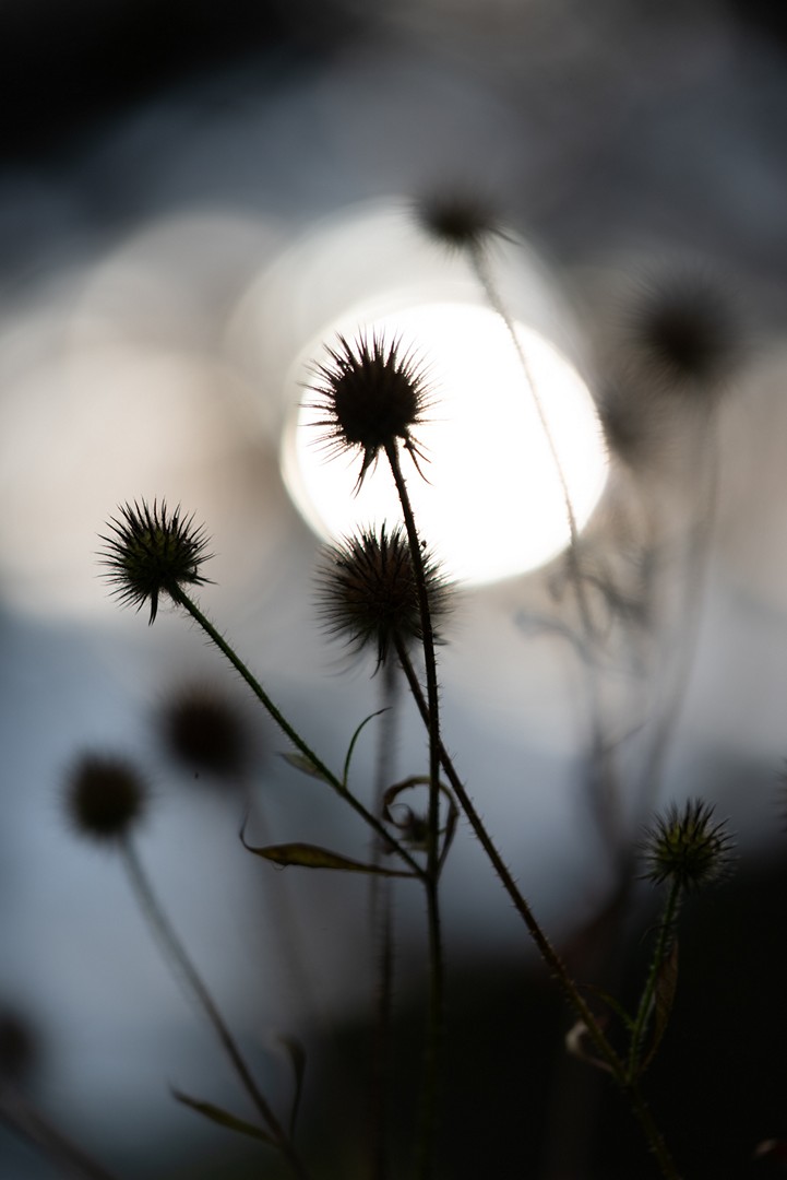 sept_2018_03