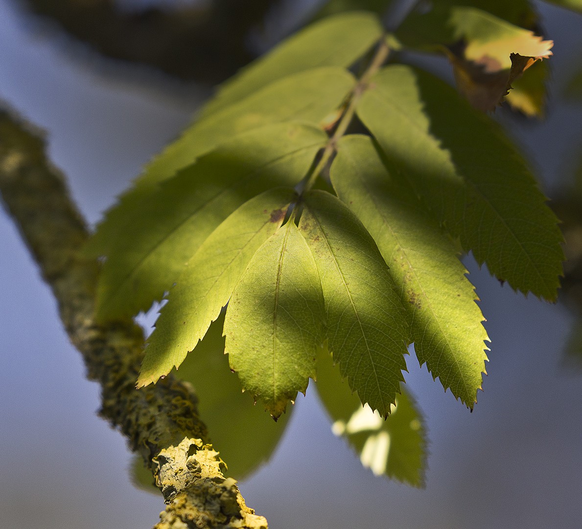 sept_2018_04