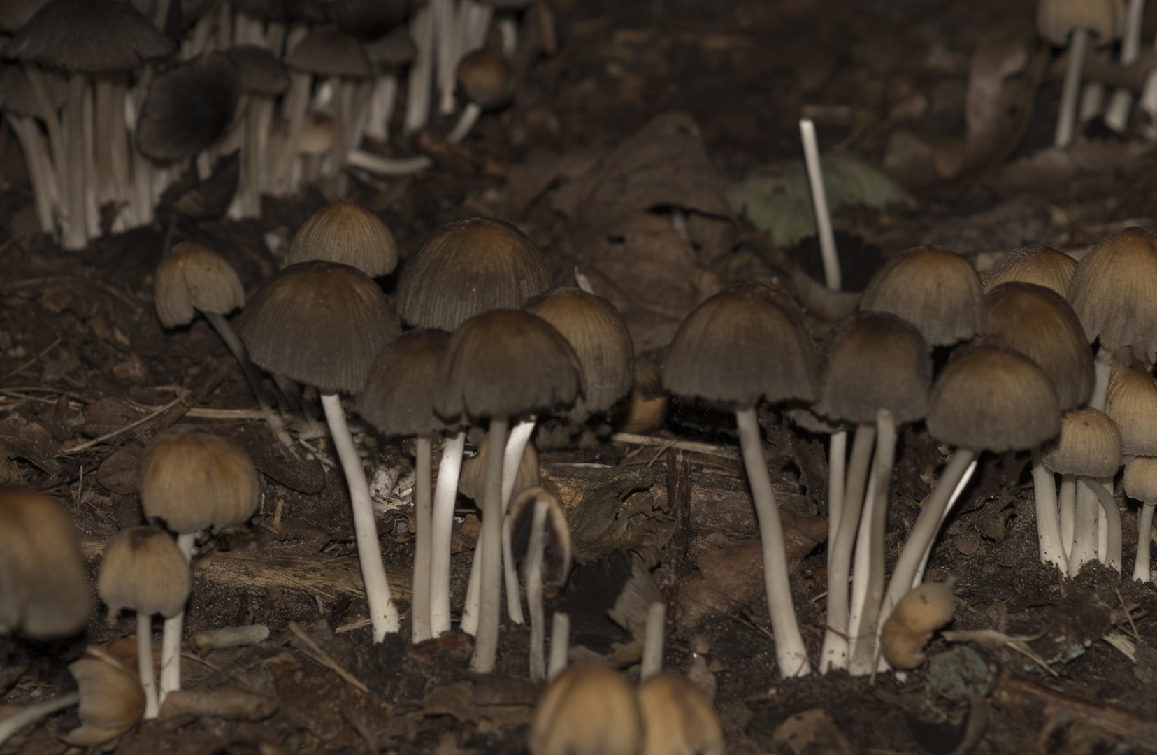 sept_2018_24