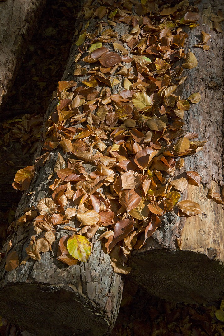 okt-2018-12
