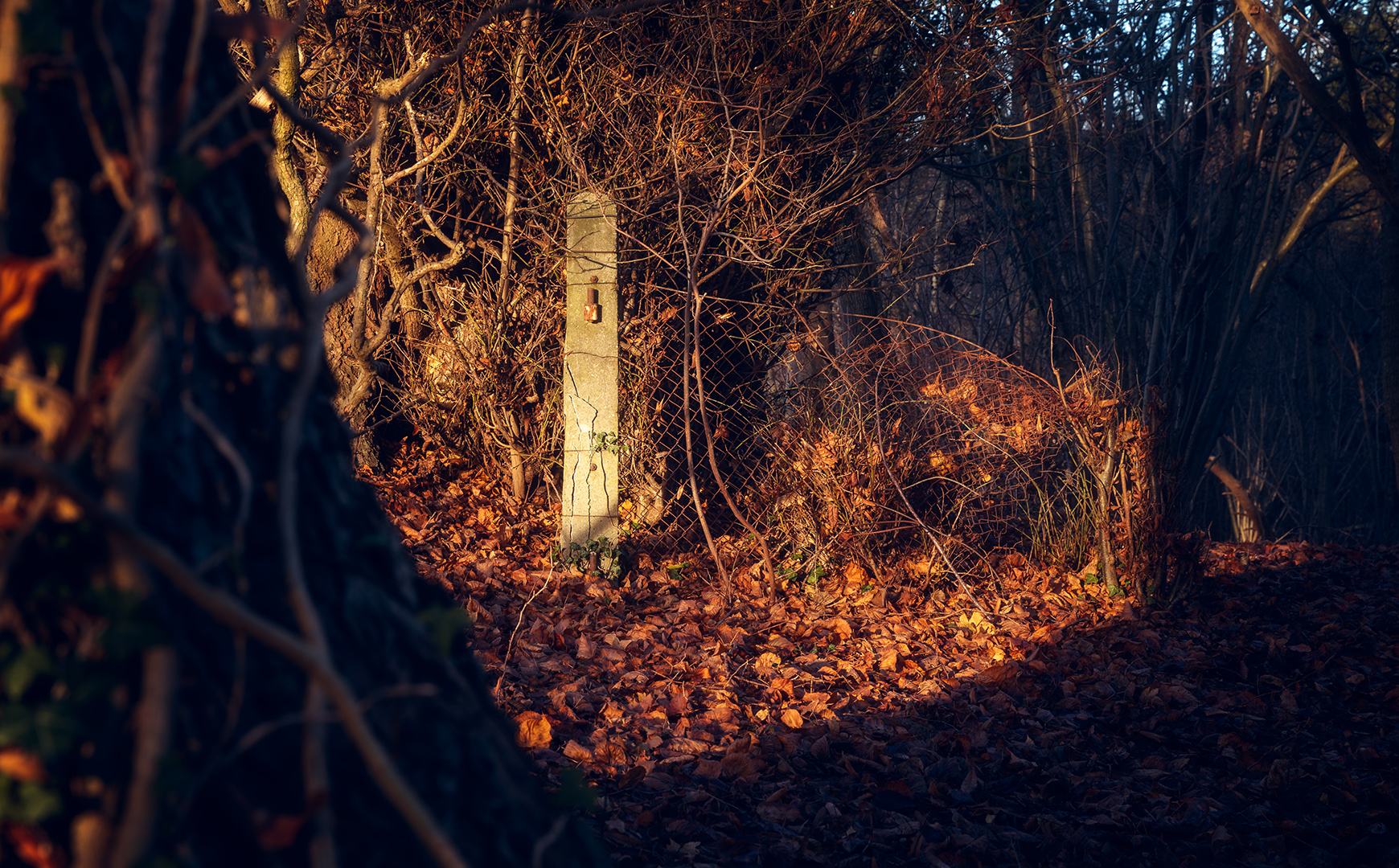 dec_18_11