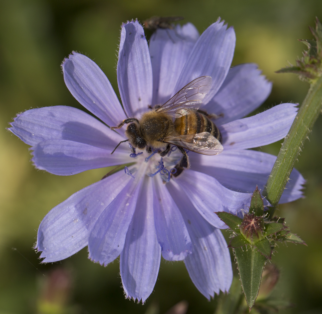 sept_2019_17