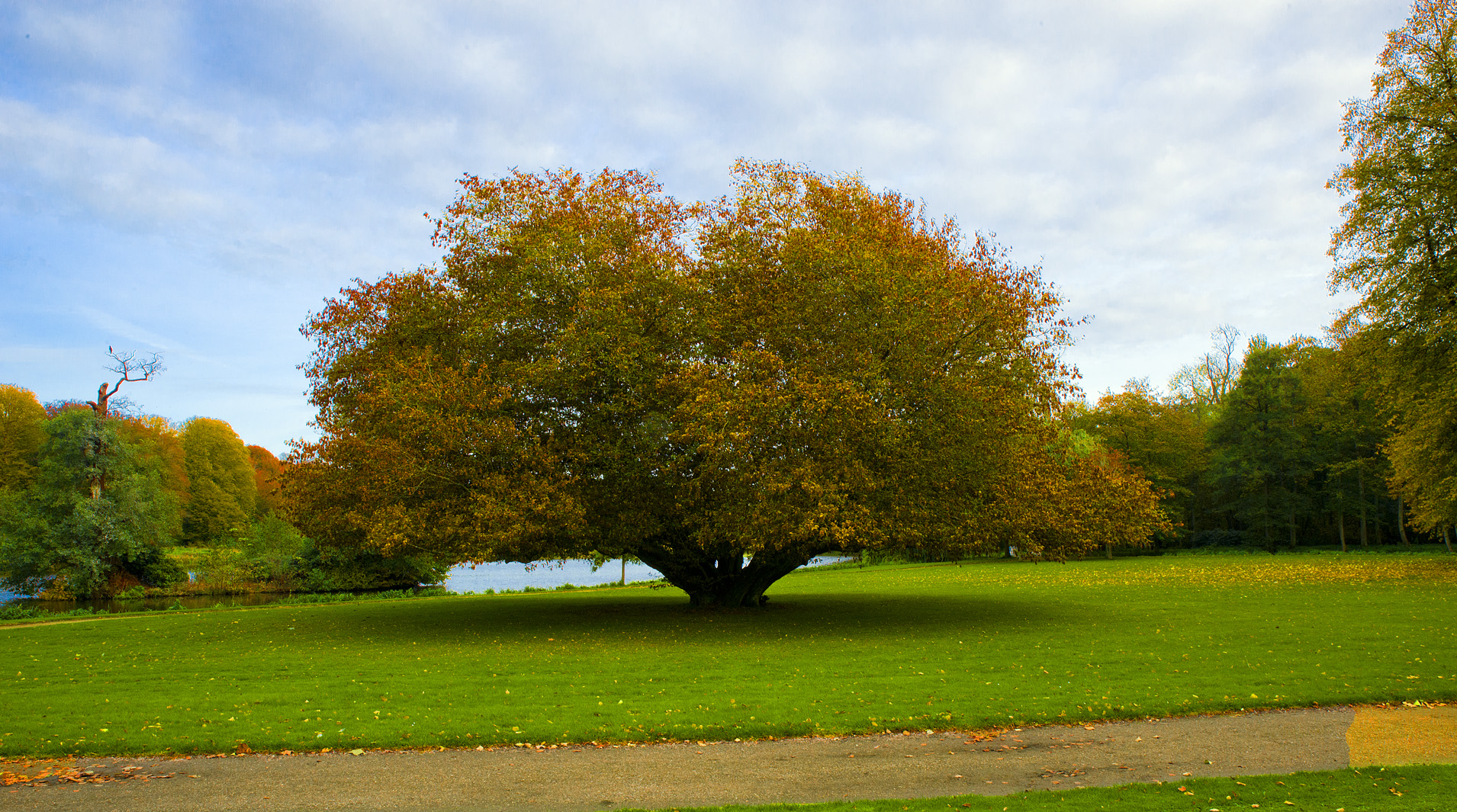 2019_okt_42