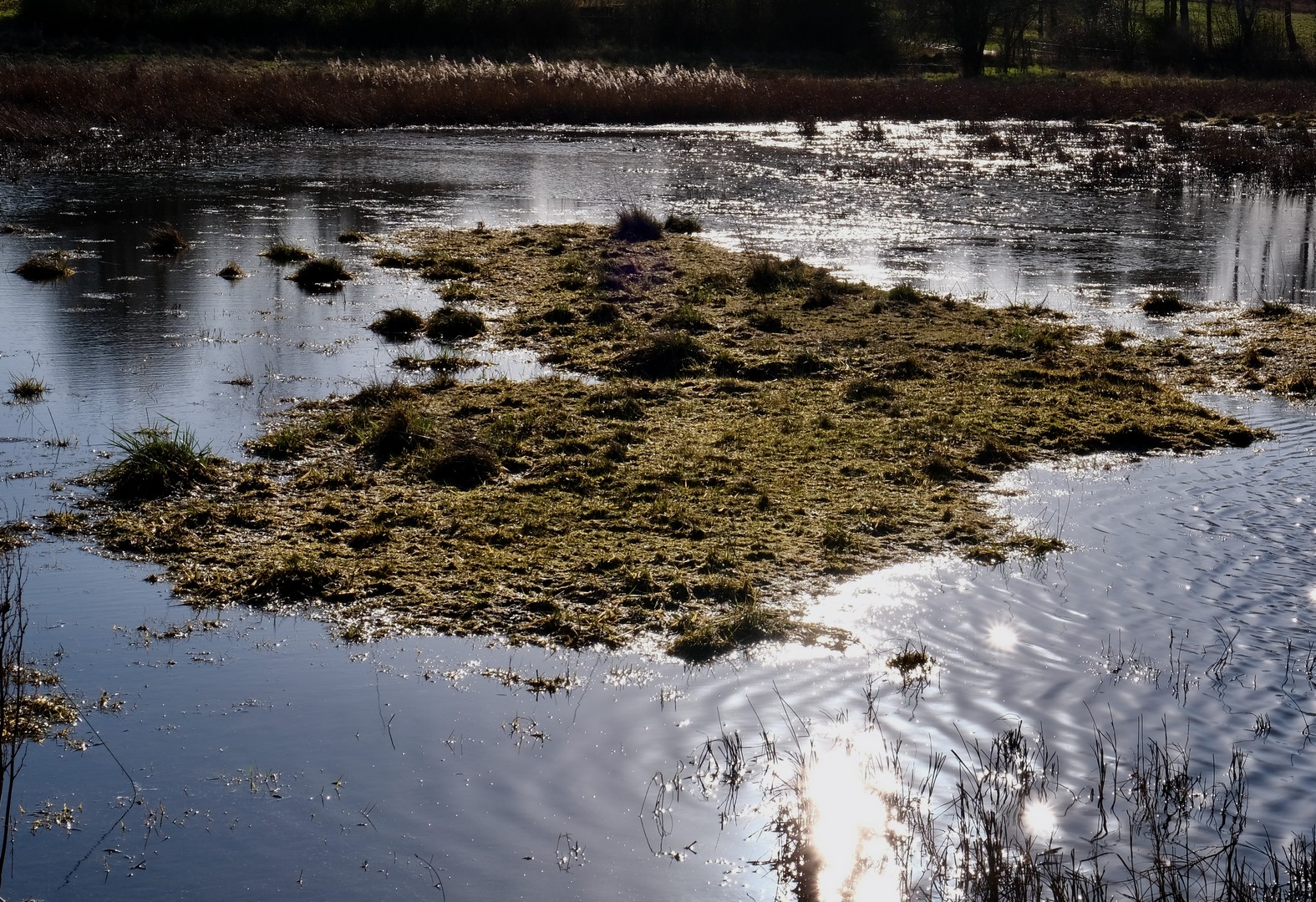februar-19-001