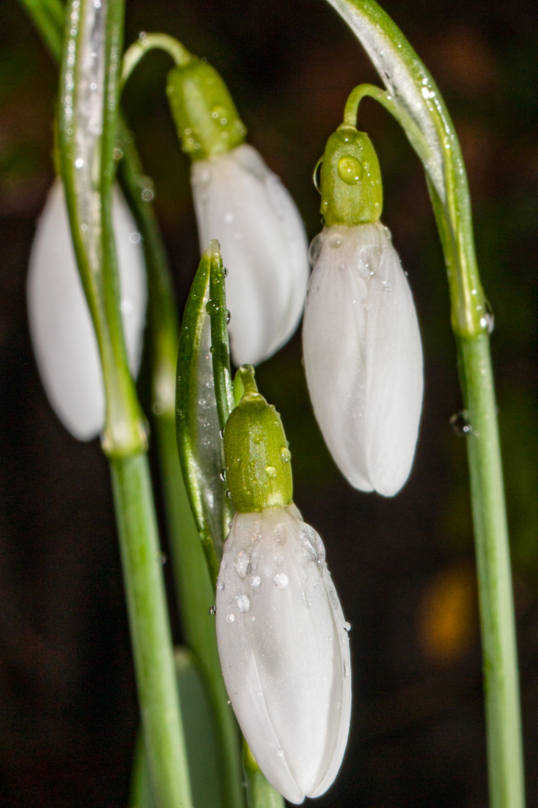 februar-19-018