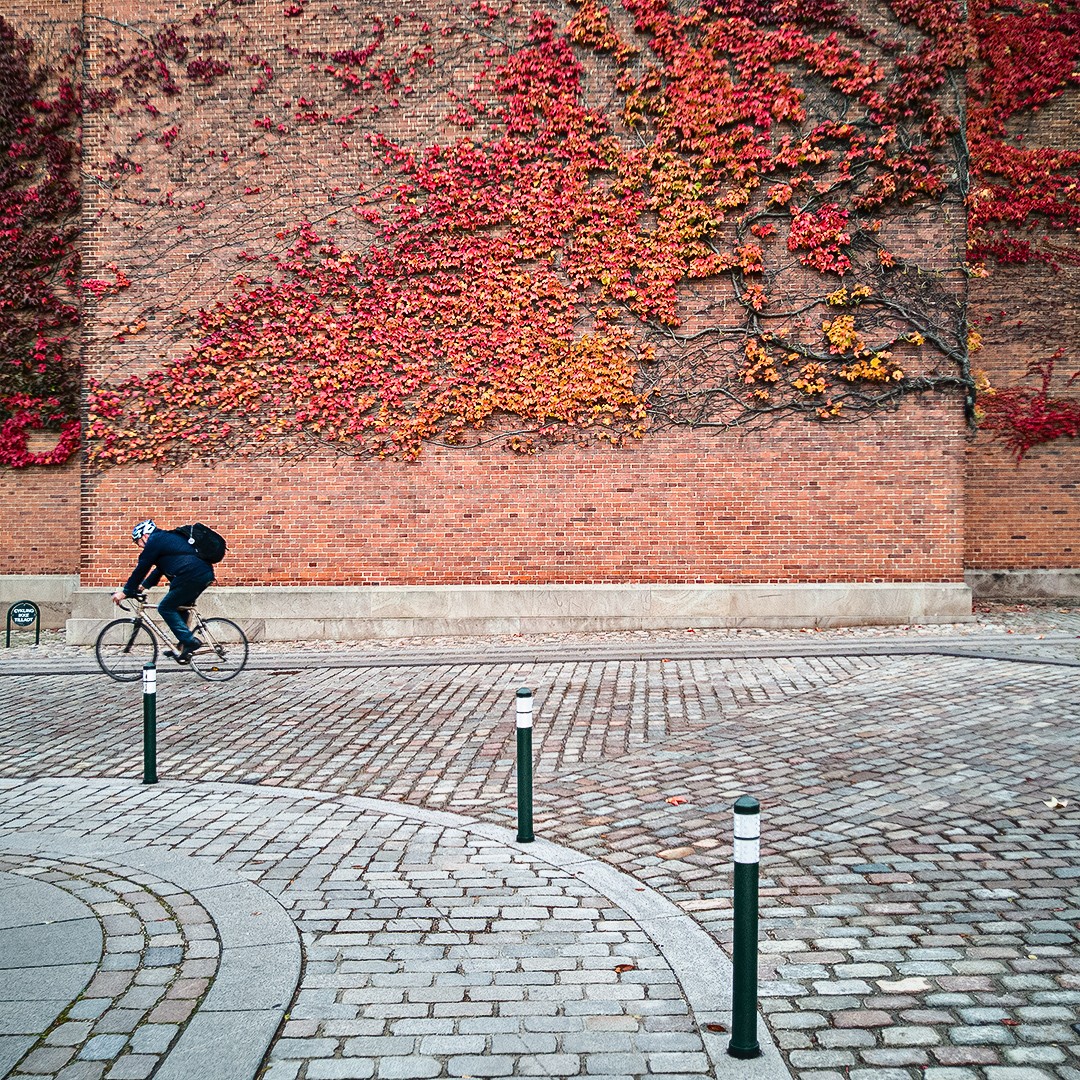 okt_2020_08