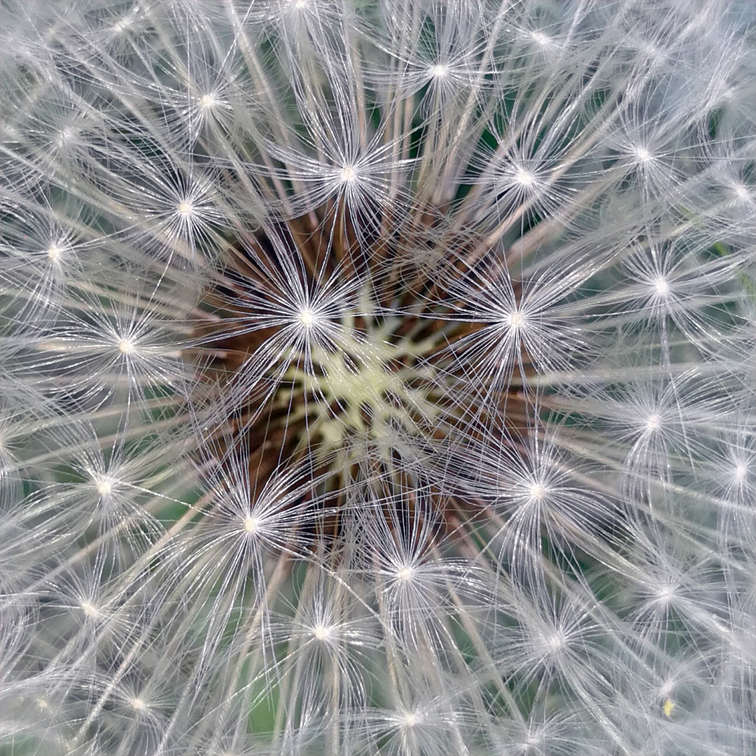 2021-07.1-02