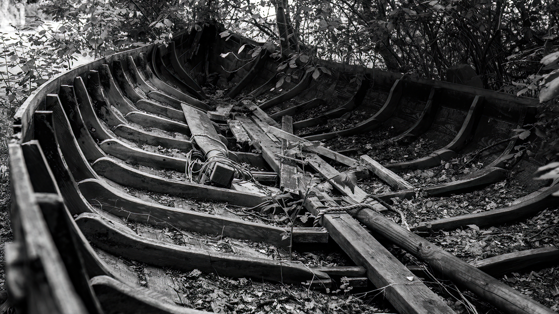 2021.08.2.-TTR08