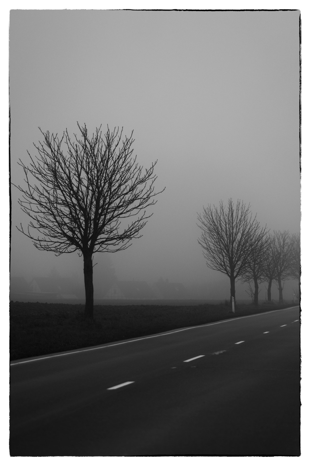 2022-01-billed-06