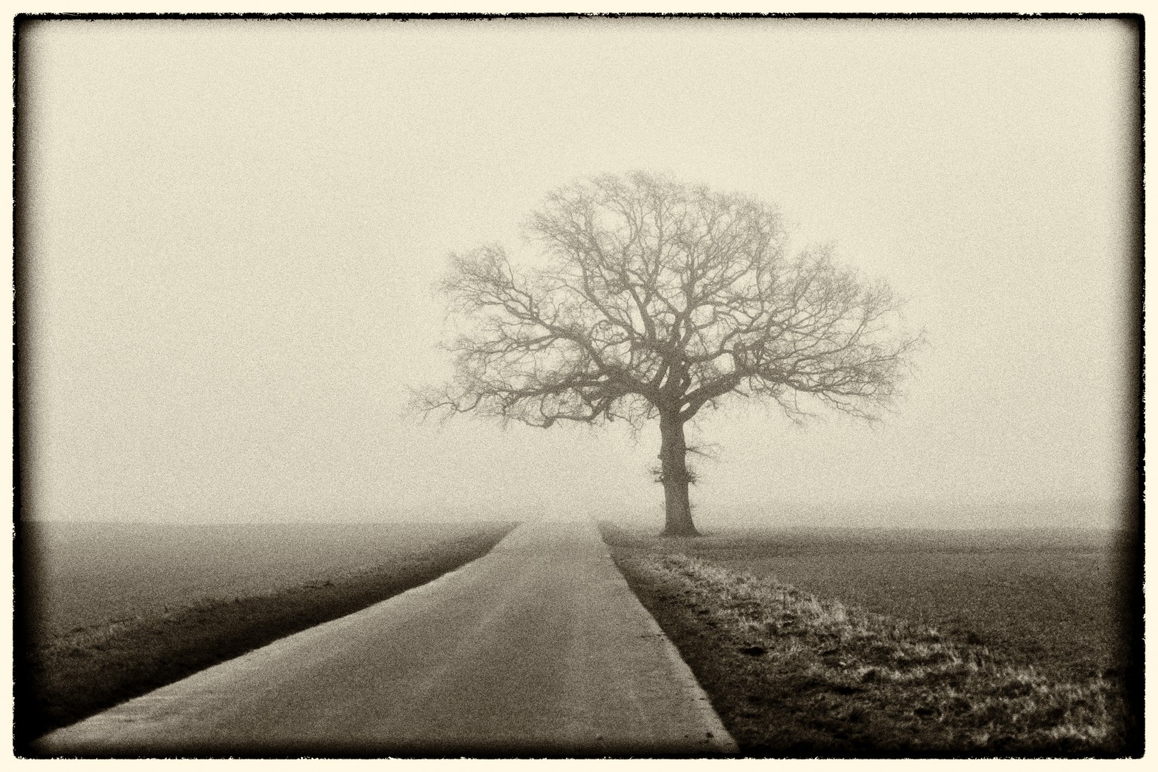 2022-01-billed-07