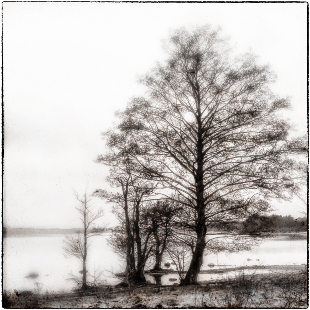 2022-02-billed-42