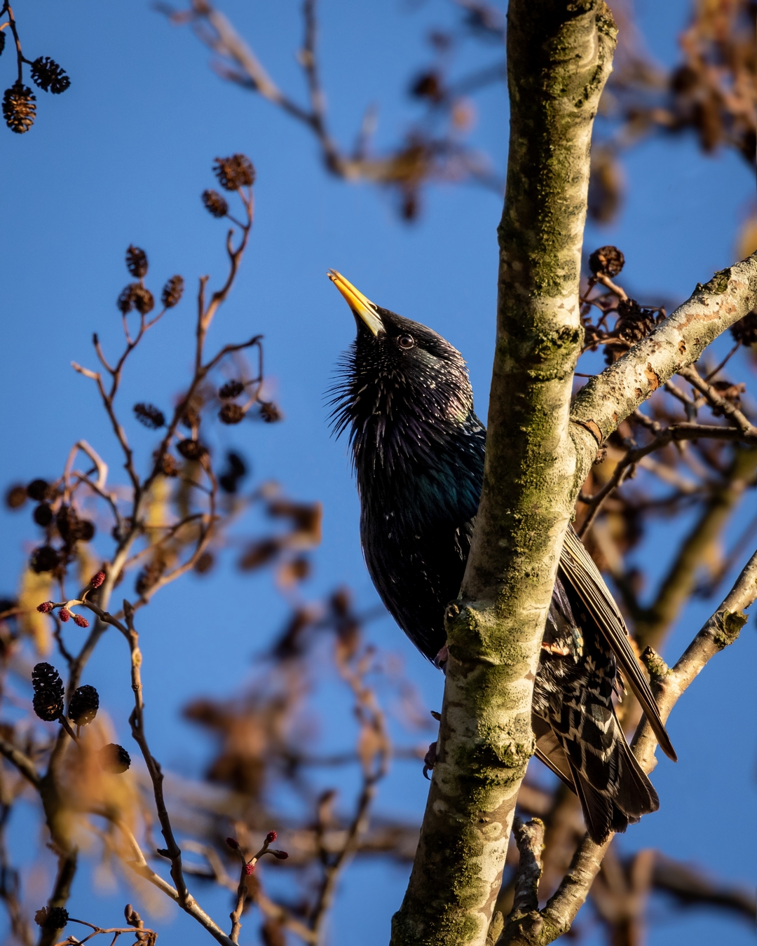 Billed-13-22-03-frit-emne