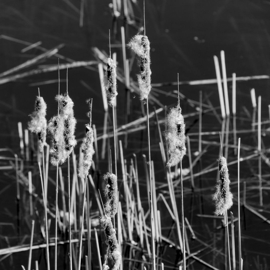 2022-04-Billed-14