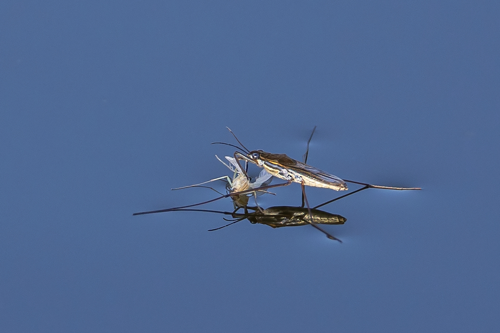 2022-04-Billed-33