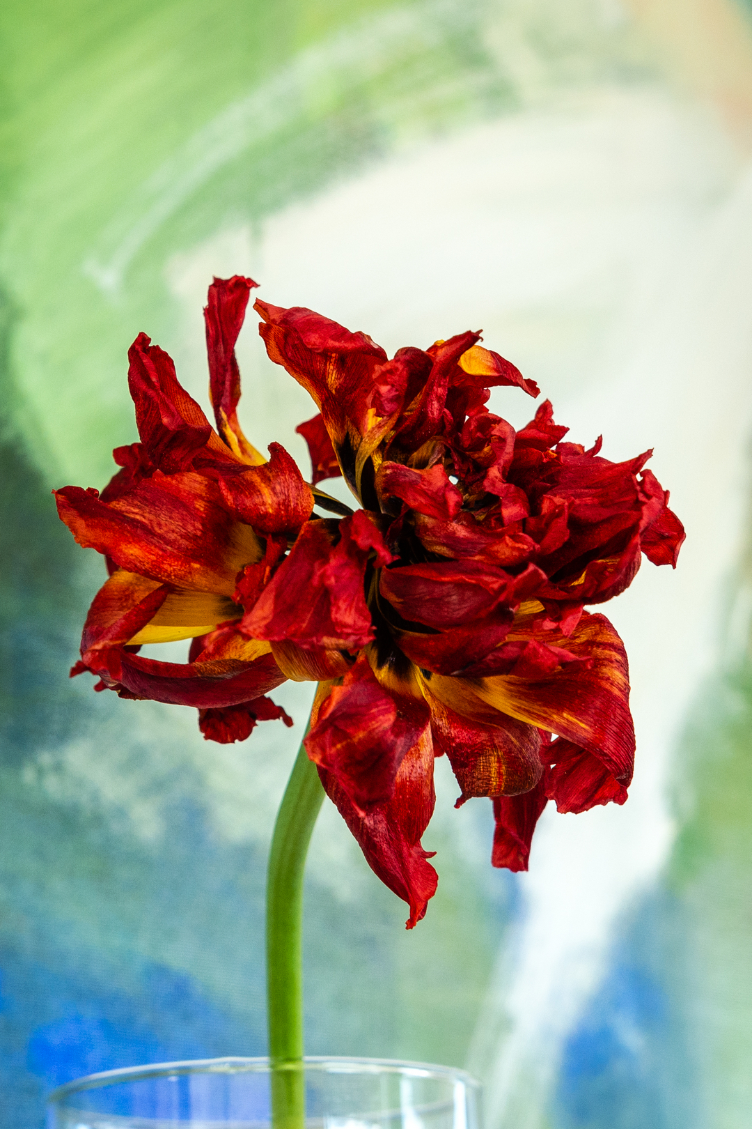 Billed-nr-10-22-05-frit_e