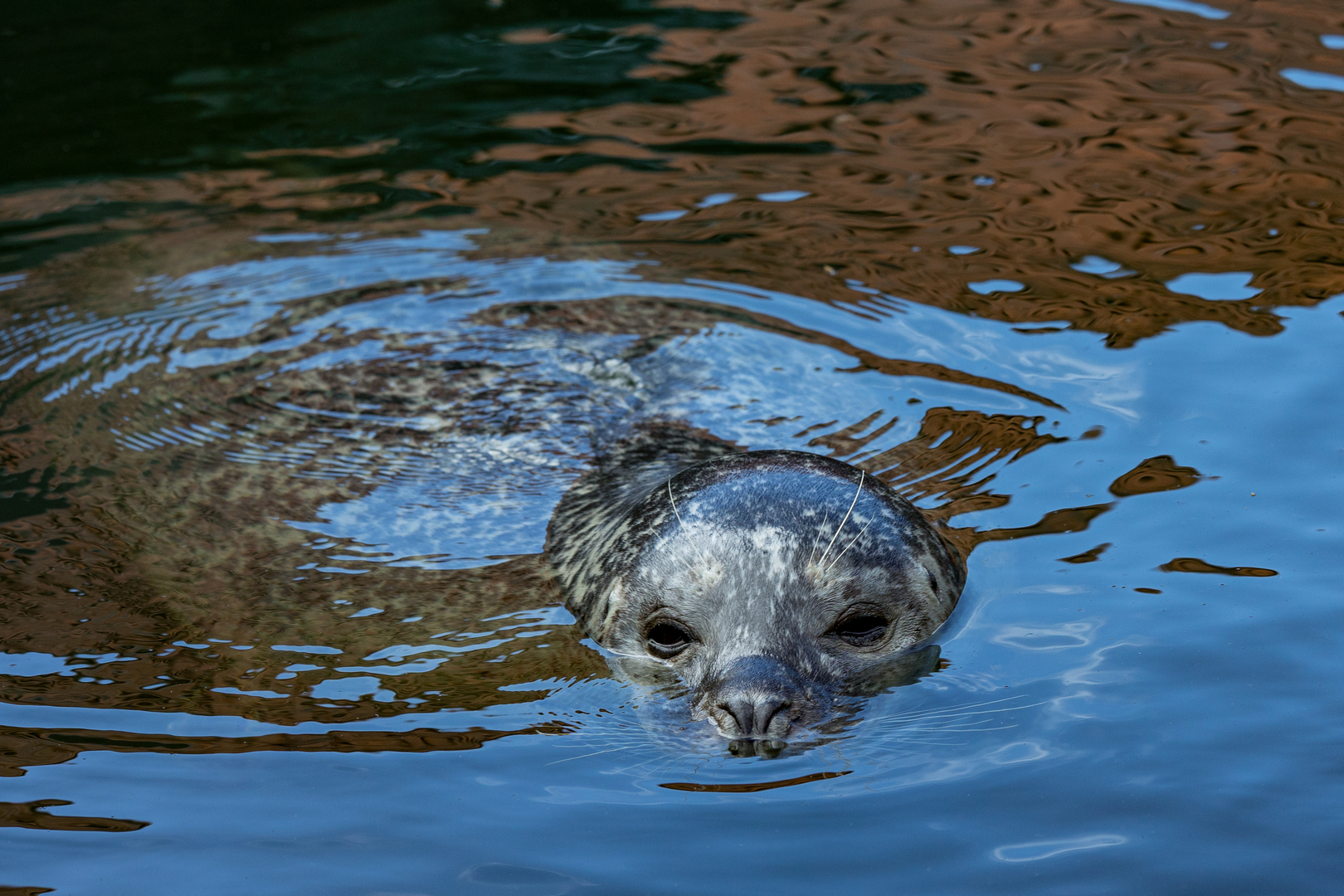 Billed-nr-15-22-05-frit_e