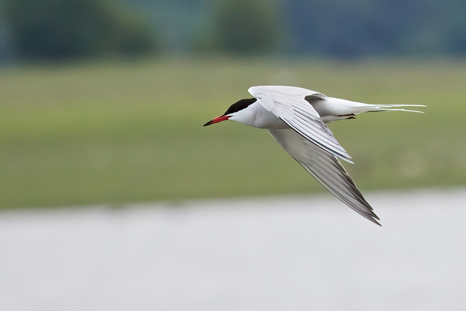 Billed-nr-37-22-05-frit_e