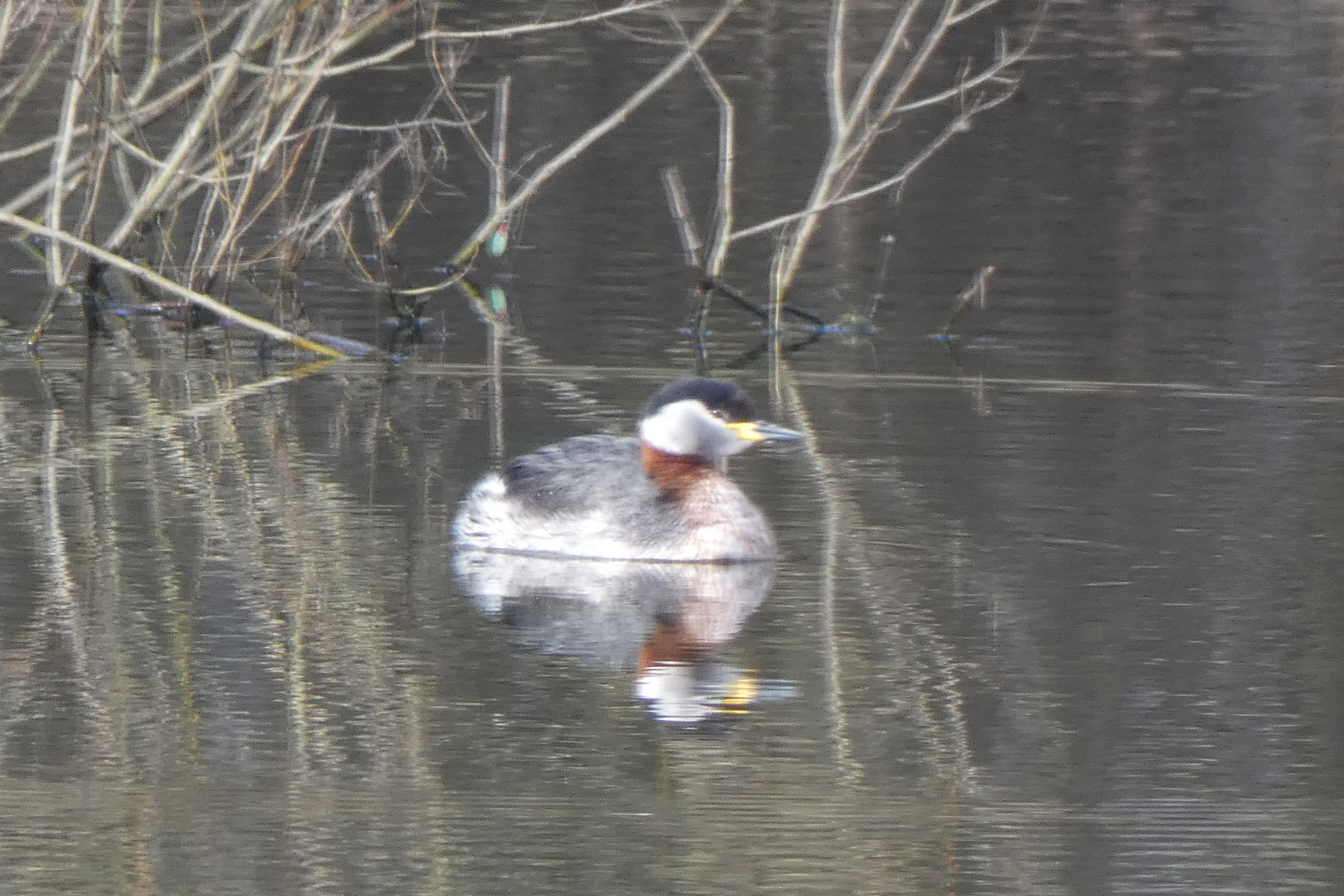 Pic 2 - MF Juli 2022  Spejling