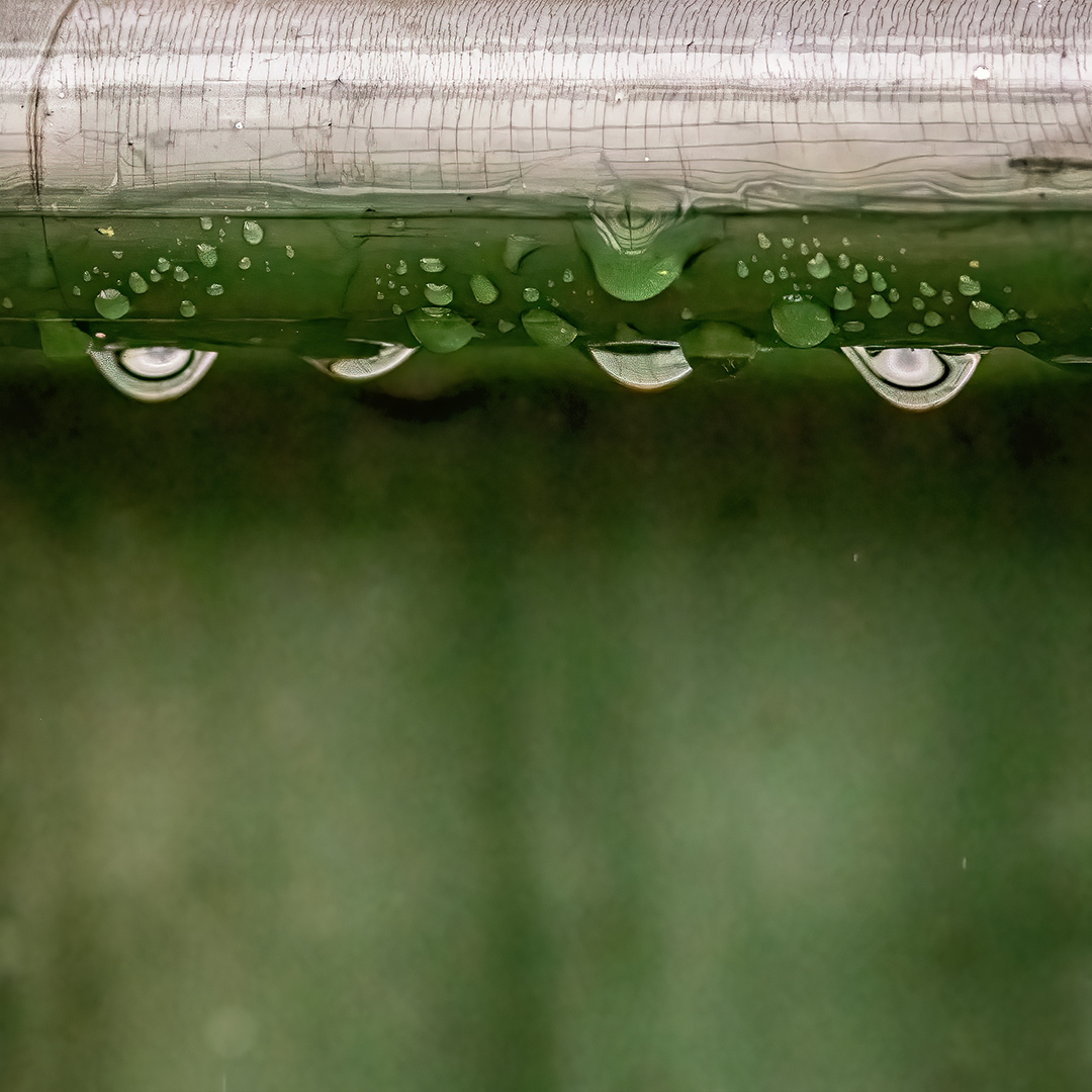 Okt-22-Billed-27