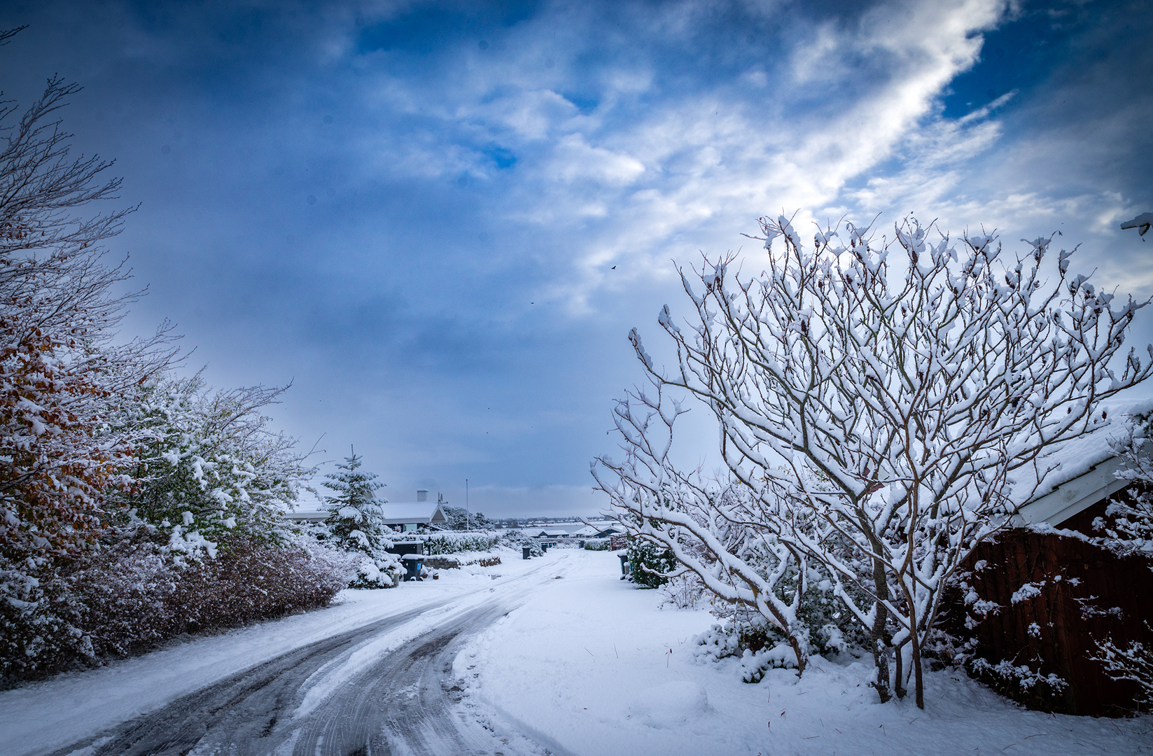 billed-05-feb-22-frit-emne-vinter