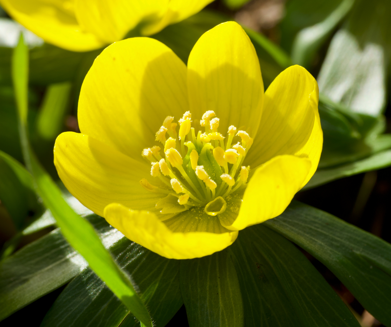 billed-13-feb-22-frit-emne-forarsbebuder