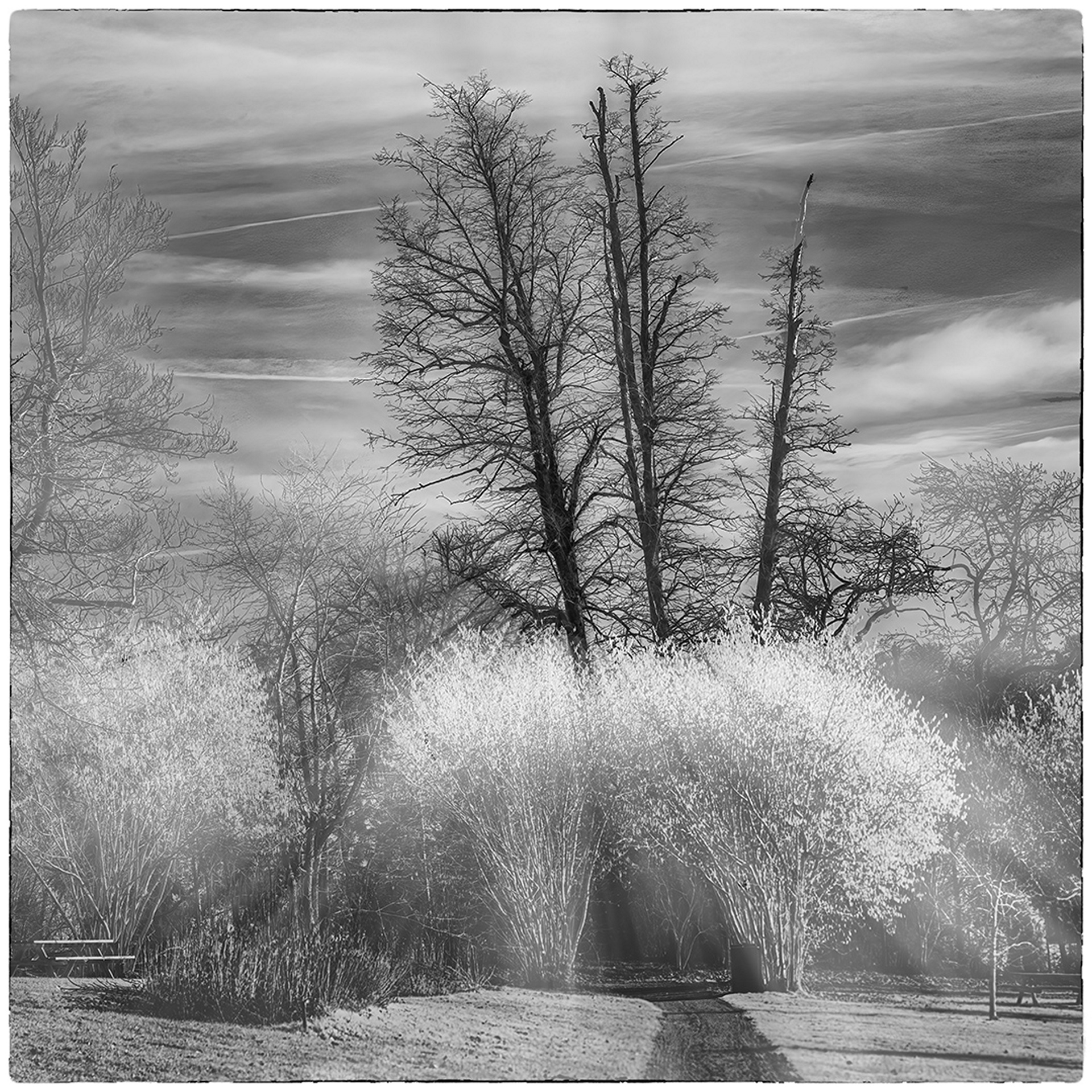 Billed 13 - april 23 - frit emne