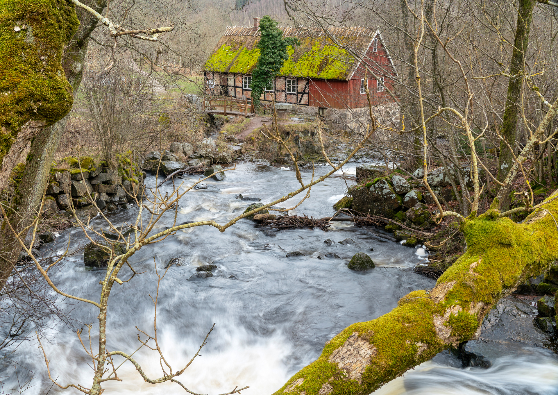 Billed 24 - april 23 - frit emne