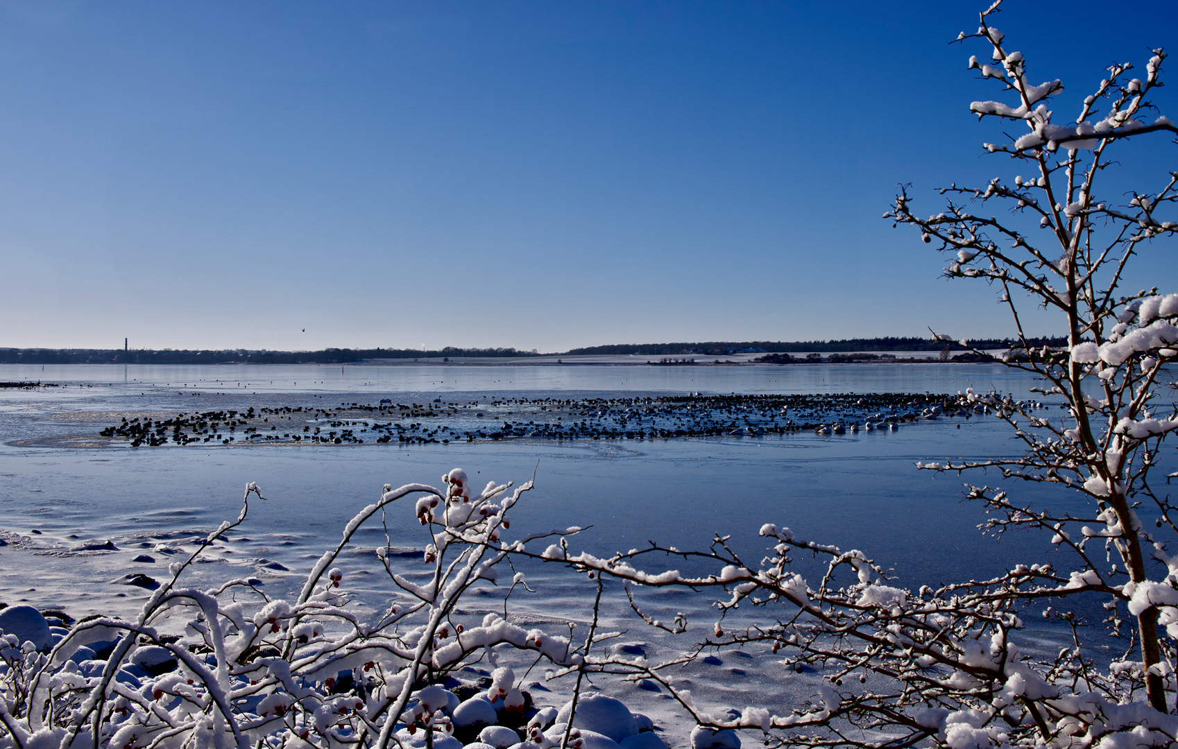 Billede12 - jan-24-