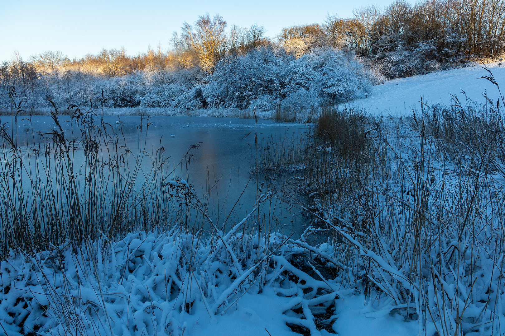 Billede16 - jan-24-
