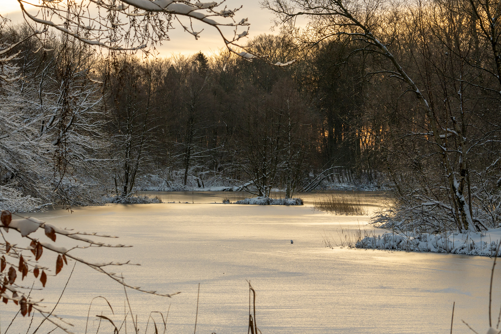 Billede27 - jan-24-