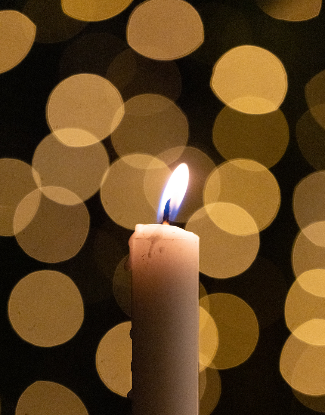 MF-DEC-25-LIM-22
