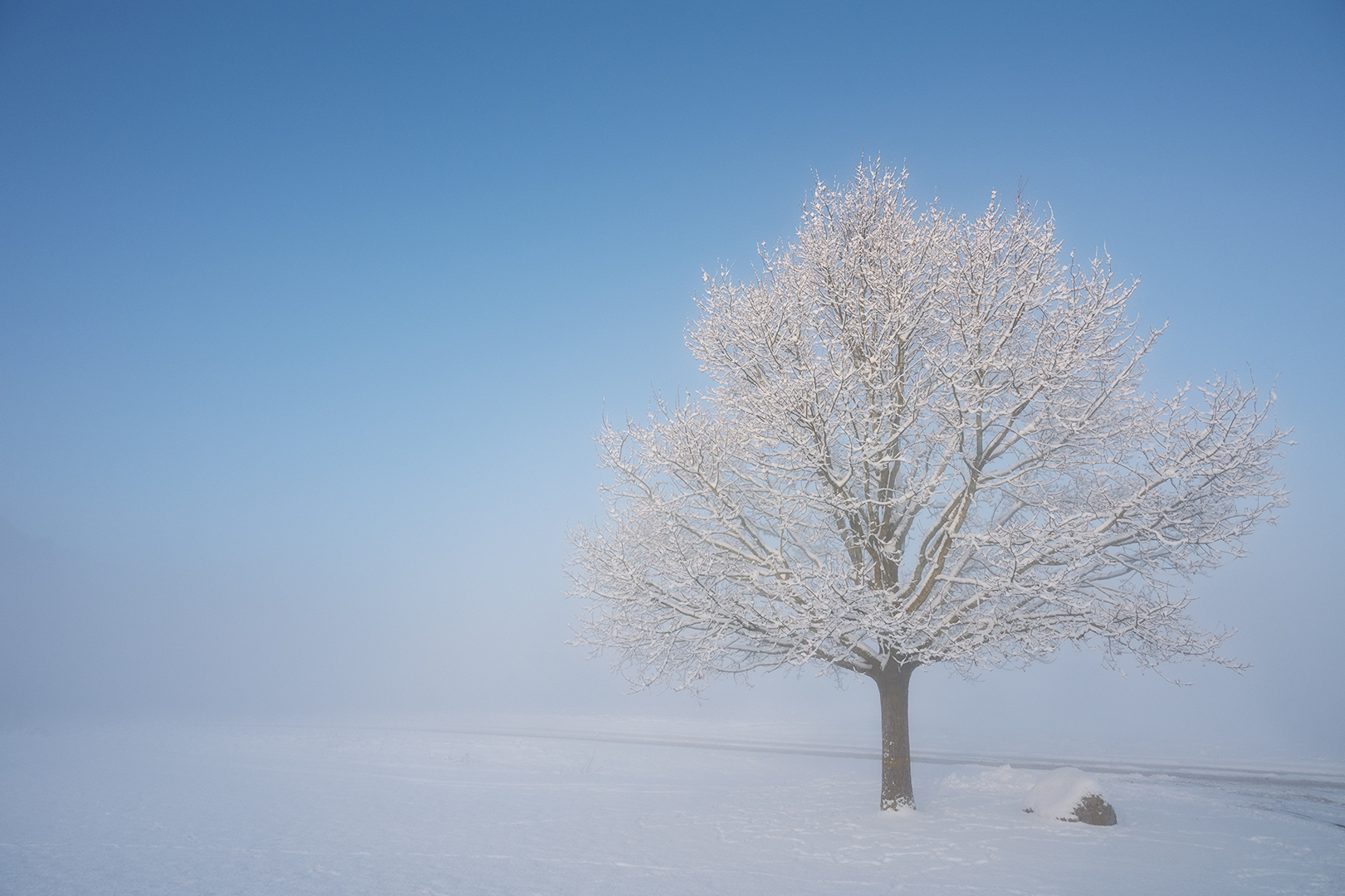 MF-JAN-26--11-frit E